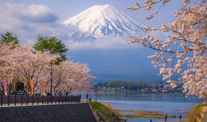 日本旅游攻略：盤點(diǎn)日本最美的五個(gè)景點(diǎn)。